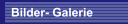 Bilder- Galerie